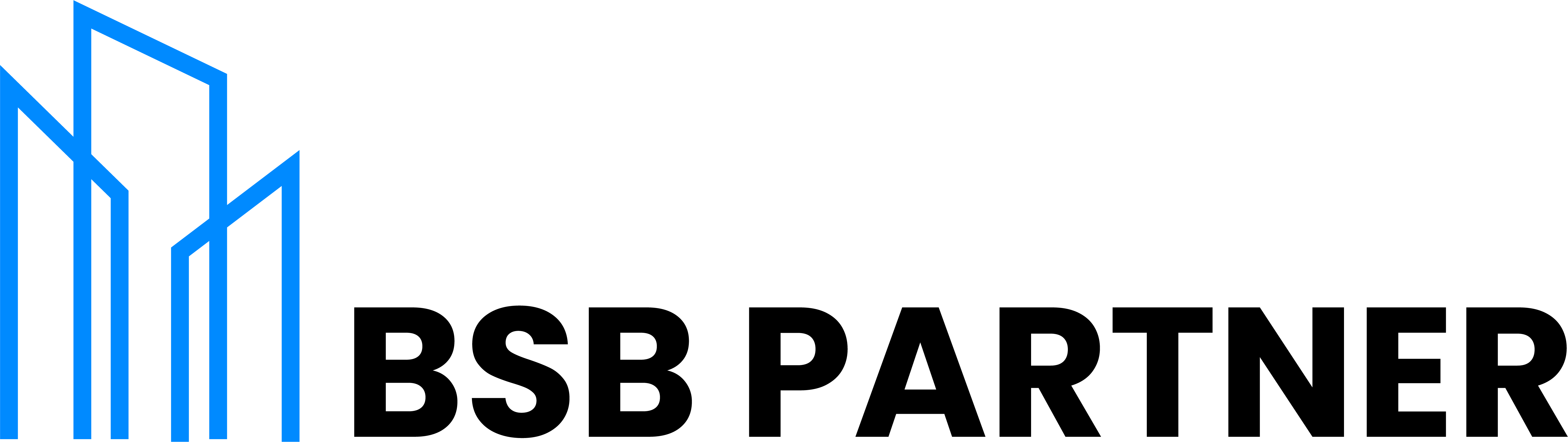 Logo de BSB PARTNER
